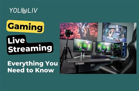 gaming live stream setup